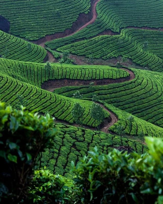 Munnar