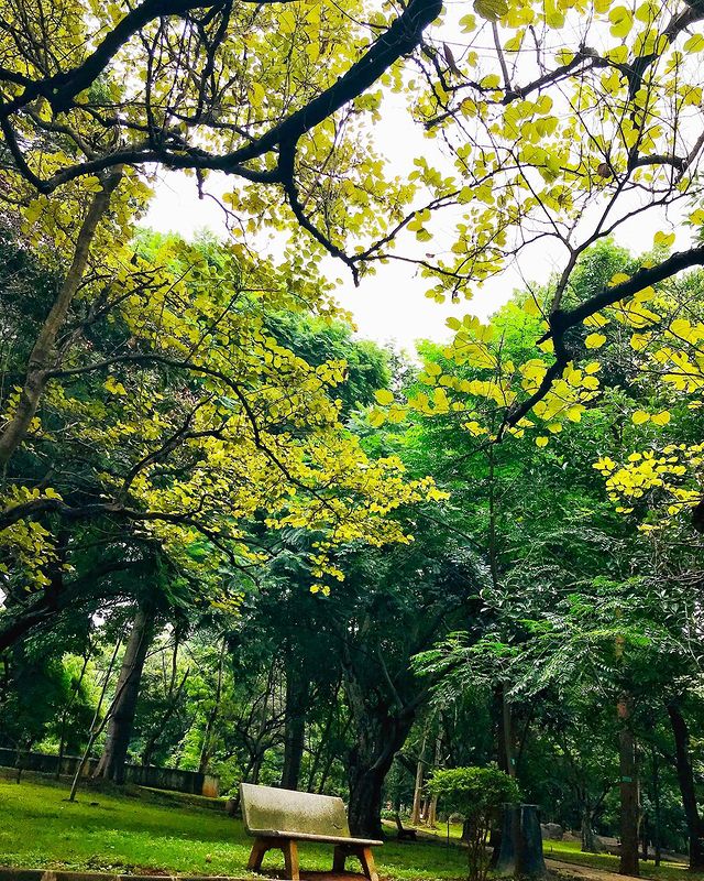 cubban park