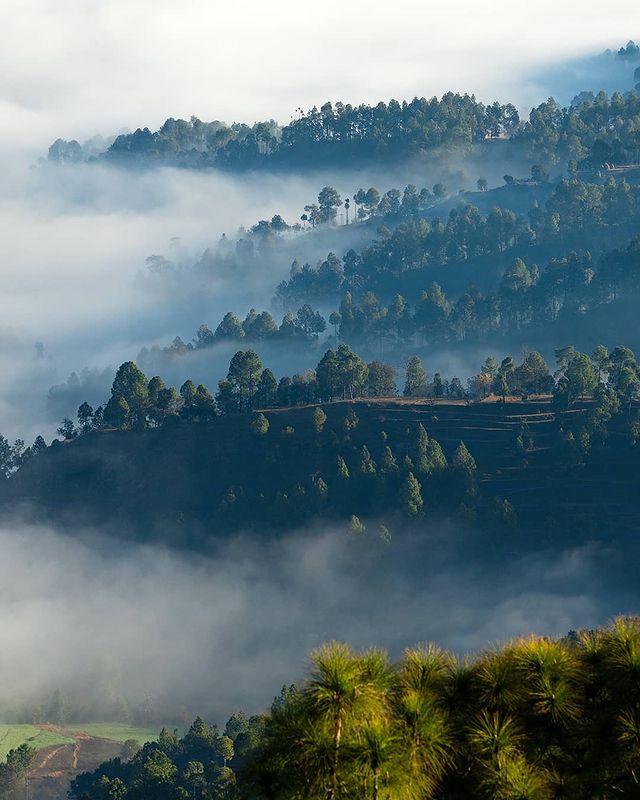kausani